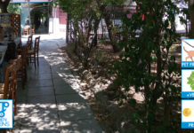 Leylim Ley Leilem Lei Kurdish Turkish Food